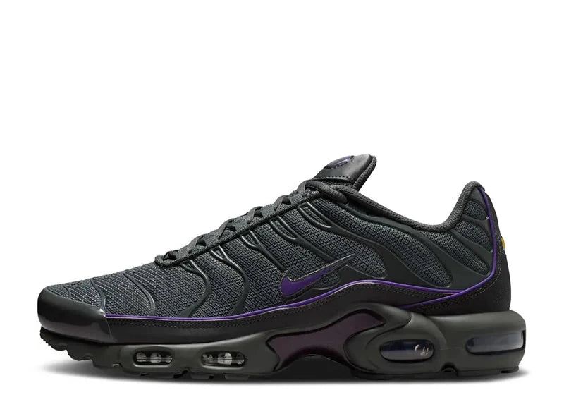 Air Max TN Purple