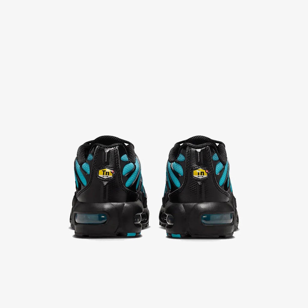 Nike Air Max TN (Black-Dusty)
