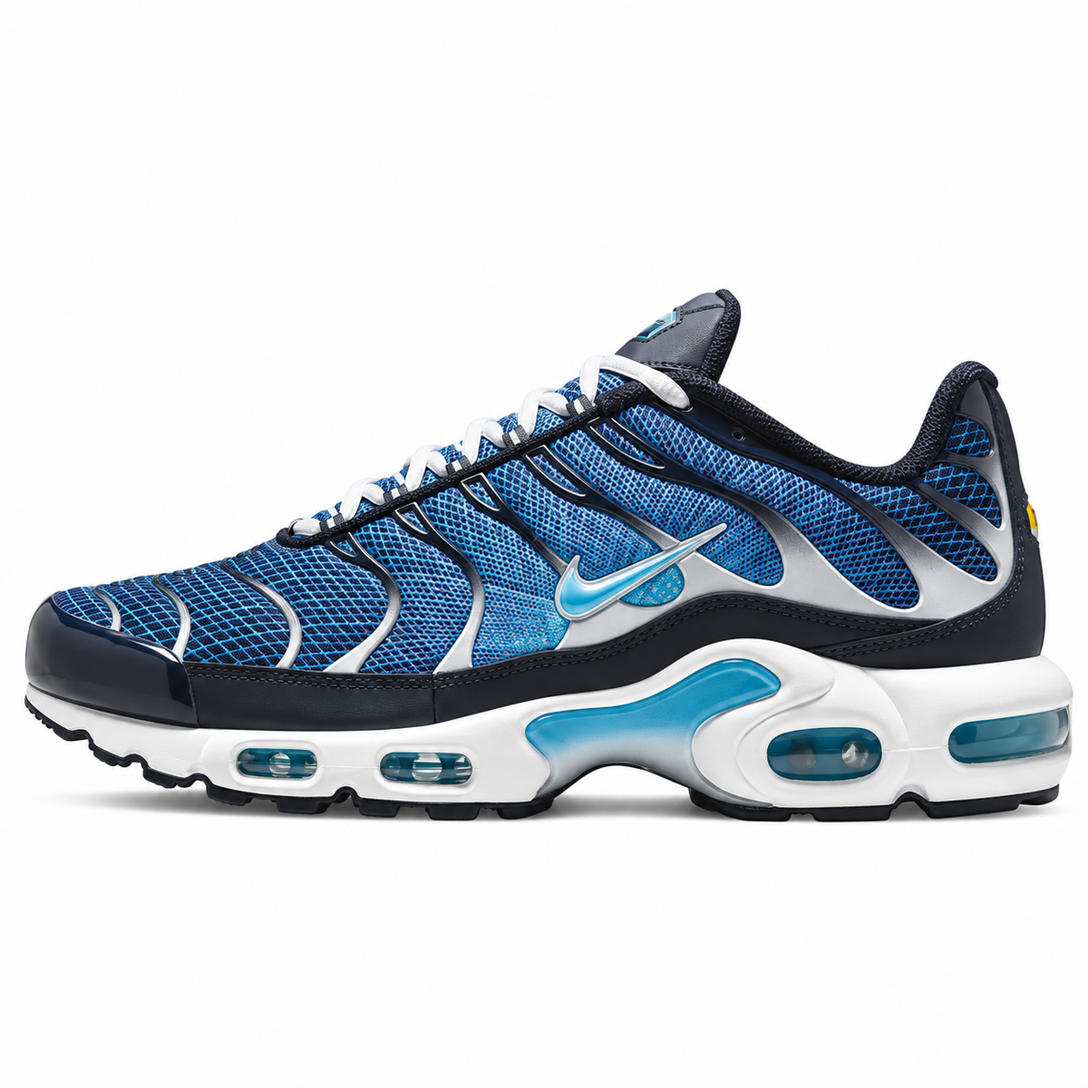 Nike Air Max Plus Blue Silver